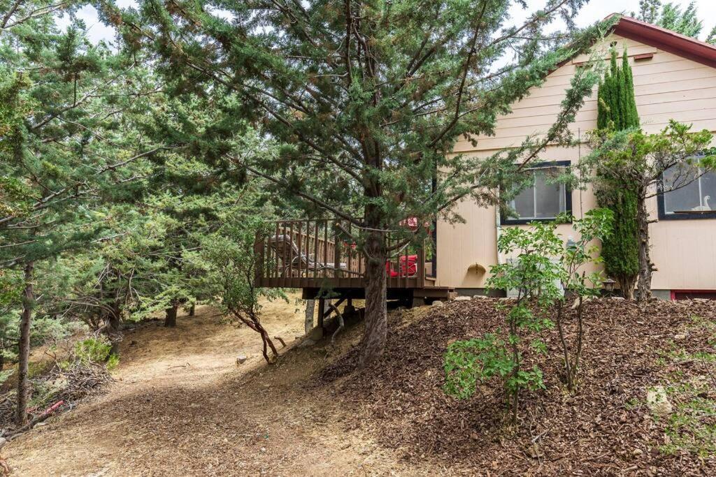 Historical Cabin In Julian Pet'S Okay! Bagian luar foto
